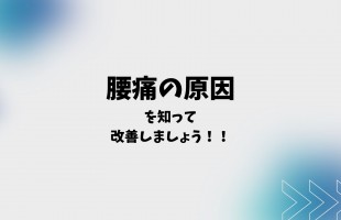 青　シンプル　グラフ　図解のプレゼンテーション